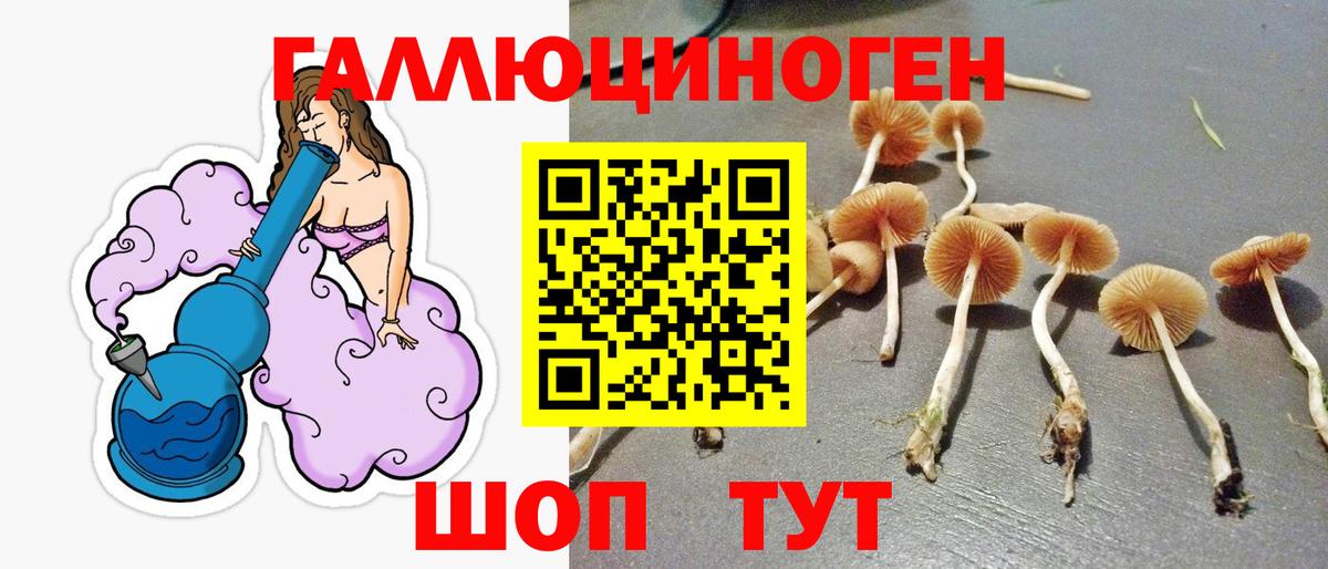 Псилоцибиновые грибы прущие грибы Горячий Ключ