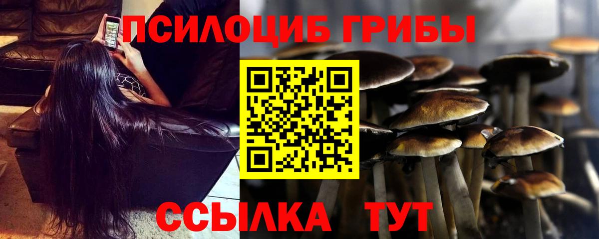 Горячий Ключ  Псилоцибиновые грибы Magic Shrooms  Вход с VPN  Галлюциногенные грибы мухоморы 
